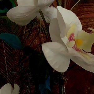 Meet your Posher, Ray